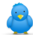 Der Waldsch&auml;nke bei Twitter folgen